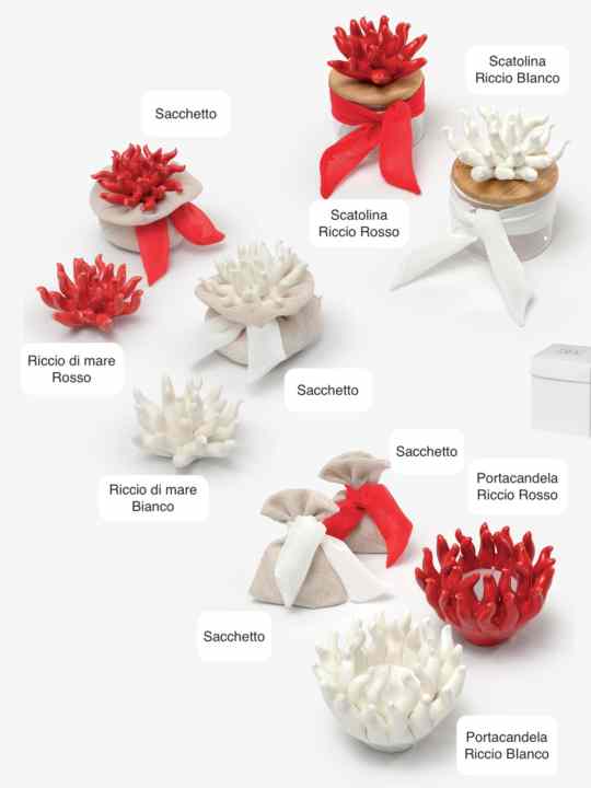 Riccio di mare con sacchetto 