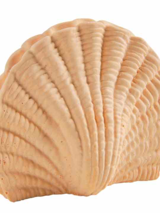 Confezione profumata Mangue Sorbet 