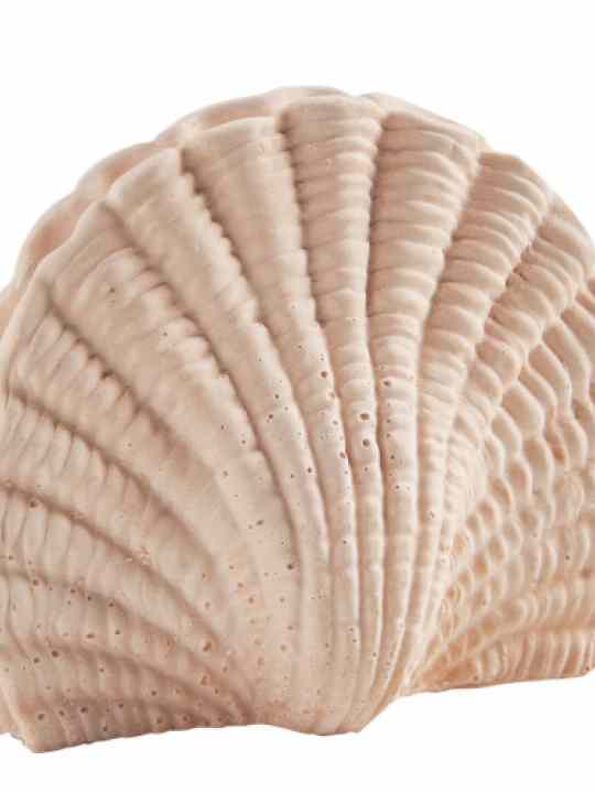 Confezione profumata Perle de Coco 